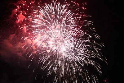 Массовый запуск салютов в Воронеже: были ли штрафы?