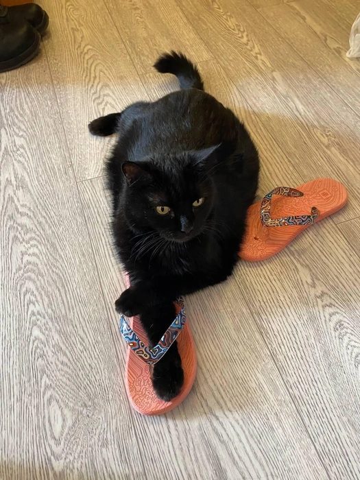 Не холодно еще в Волге купаться? Я уже готова к водным процедурам! | Источник: читатель 63.RU