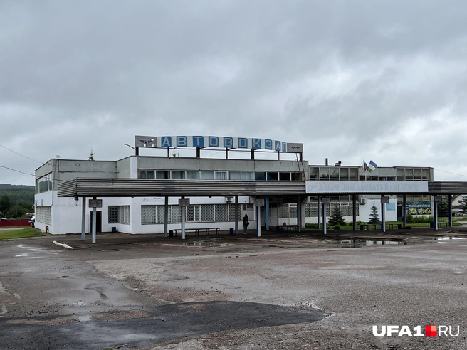 Ну красота | Источник: Андрей Бирюков / UFA1.RU