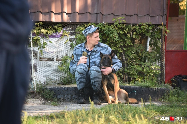 Источник: Надежда Достовалова
