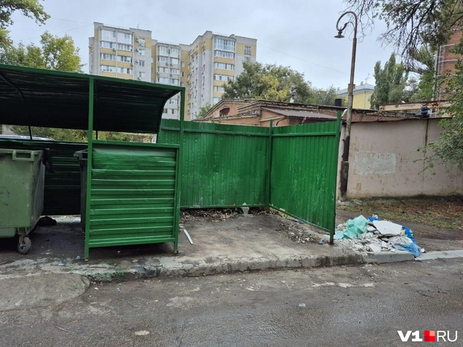 Отсек для КГО свободен, но за площадкой уже растет гора обрезанных ветвей | Источник: Ирина Яковлева / V1.RU