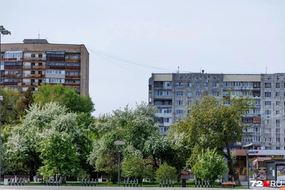 Дайджест 14 мая: ВПР, лагеря, паводок в Тюмени