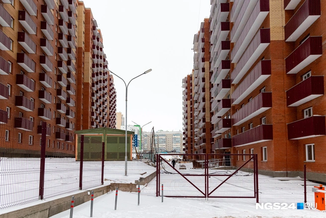 Три | Источник: Мария Ленц / NGS24.RU