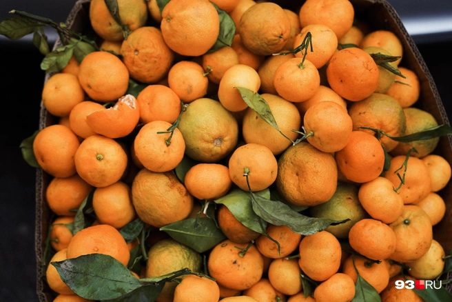 В Краснодаре продают много мандаринов из Абхазии | Источник: Дарья Паращенко / 93.RU