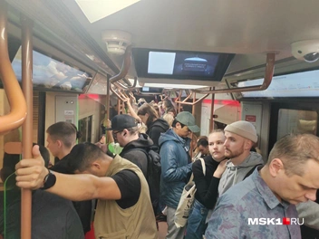 Источник: Михаил Мечев / MSK1.RU