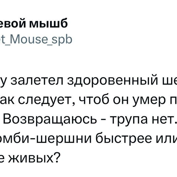 Источник: X (Twitter)