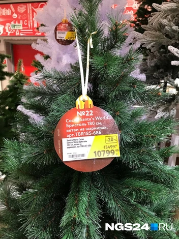 А вот тут уже не самая дешевая  | Источник: Дмитрий Мамаев / NGS24.RU 