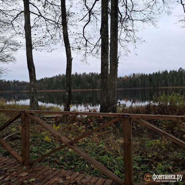 Источник: Ирина Багликова / «Фонтанка.ру»