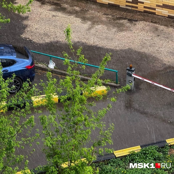 Источник: Дмитрий Толстошеев / MSK1.RU