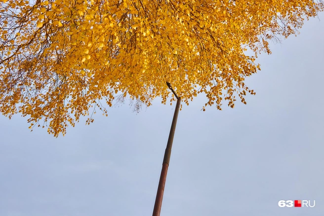 Флагшток уже установили | Источник: Роман Данилкин / 63.RU