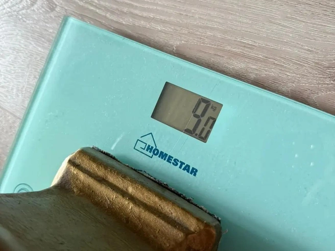 Бюст выполнен из цельнолитого немагнитного сплава, а не из чугуна | Источник: meshok.net