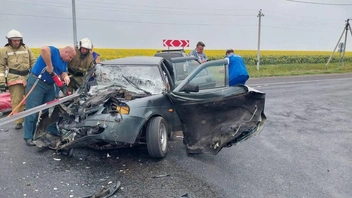 Источник: УМВД России по Оренбургской области