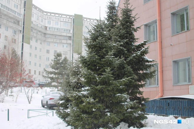 Соседи считают свой двор комфортным и благоустроенным | Источник: Елена Гуськова / NGS42.RU