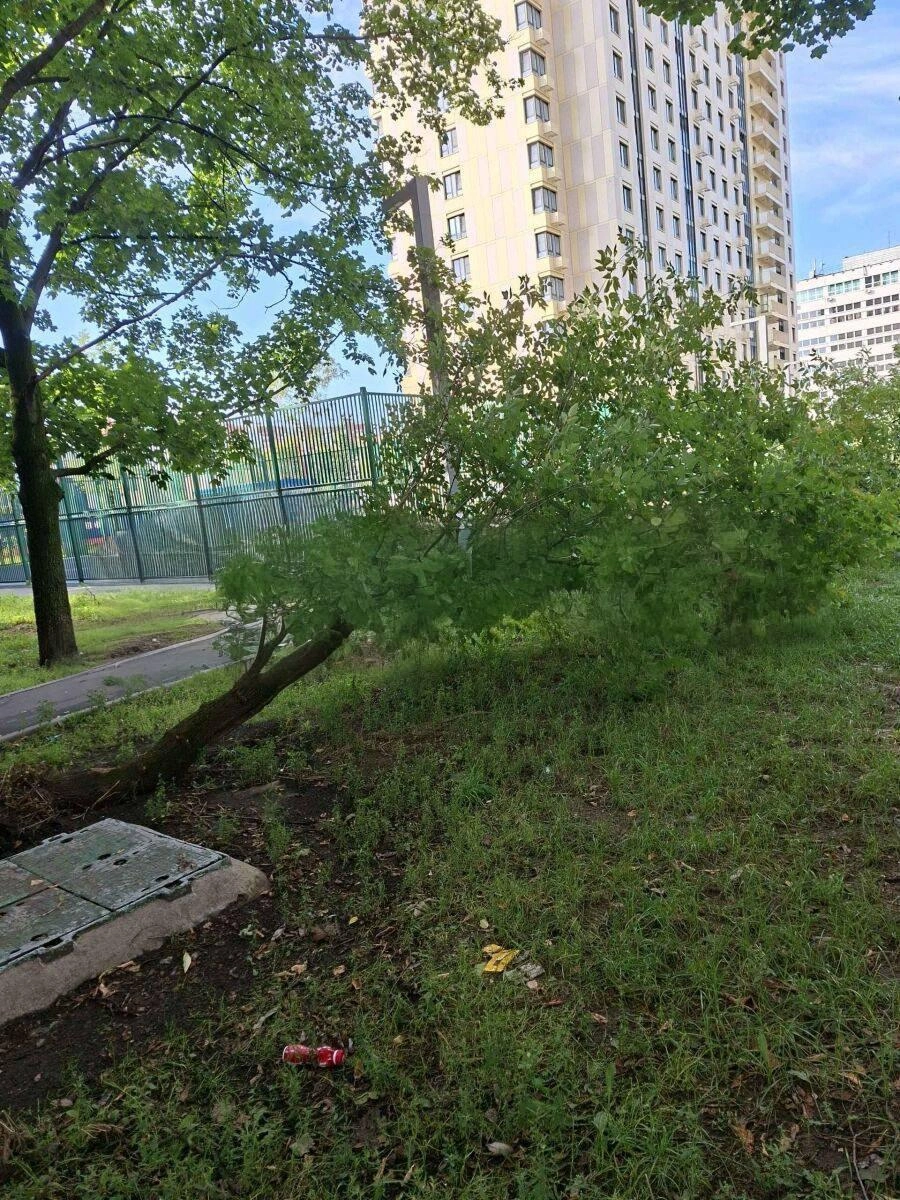 В столице бушует 8-бальный шторм | Источник: Москва с огоньком / T.me