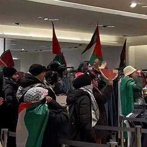 Пропалестинские активисты штурмуют бутики Zara по миру