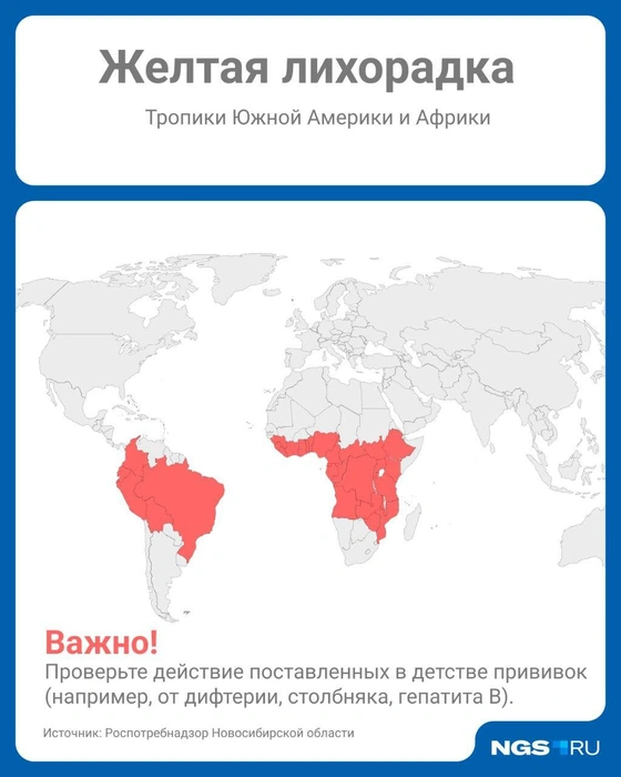 Случаев желтой лихорадки на территории России нет уже более 30 лет, но преимущественно она распространена в 13 странах Центральной и Южной Америки, а также в естественных очагах в Экваториальной Африки | Источник: Юрий Орлов / Городские медиа