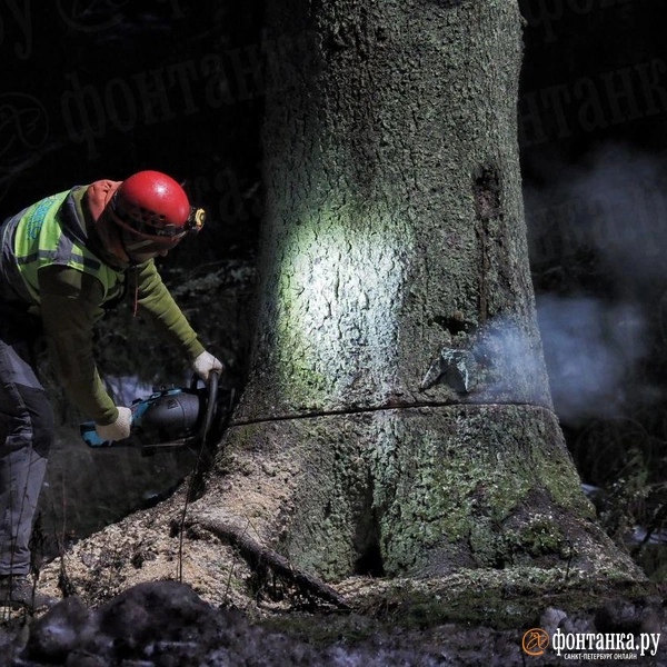 Источник: Михаил Огнев / FONTANKA.RU