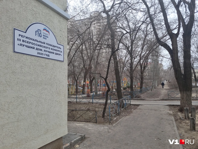 Жители предполагают, что «Концессии» забытым котлованом отбрасывают тень на решение партии и, может, даже на самого губернатора | Источник: Константин Завриков / V1.RU