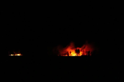 В Омской области за месяц произошло 296 пожаров