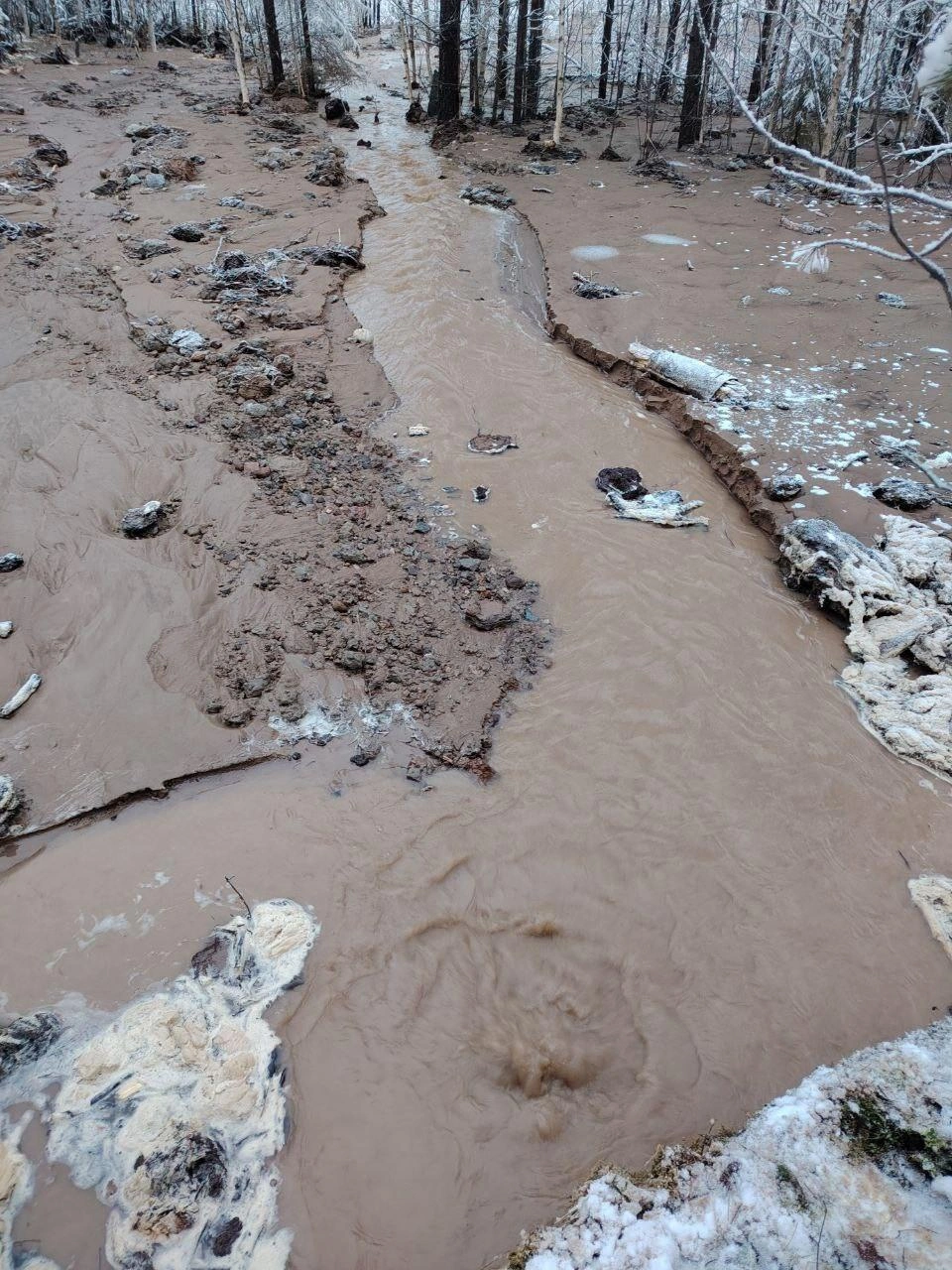 Источник: Дороги Поморья+ / vk.com