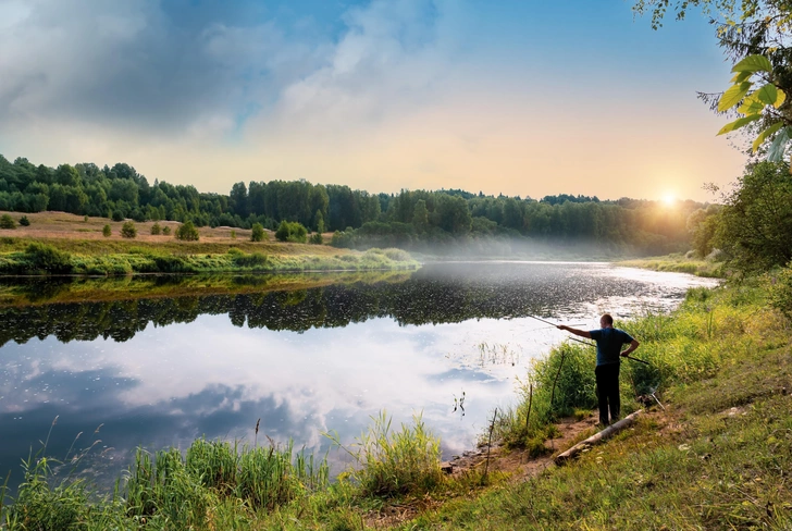 Источник: alexo99alex via Shutterstock/Fotodom.ru