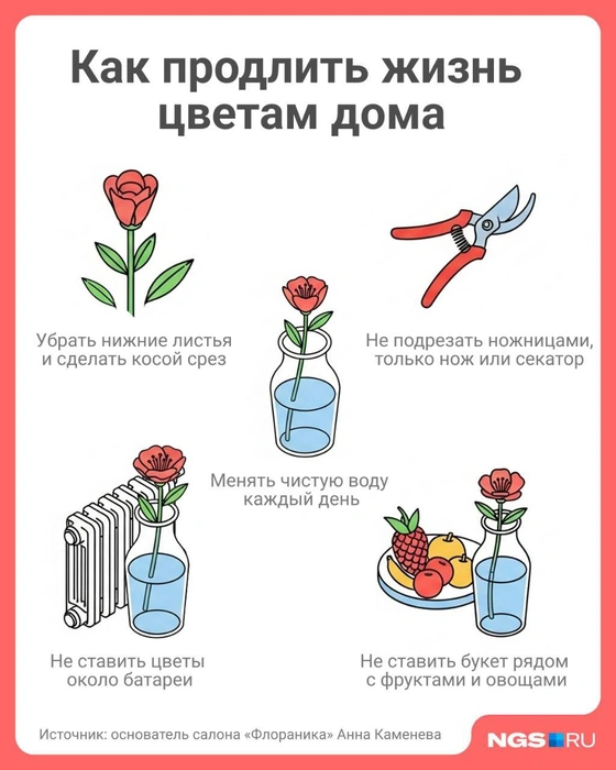 Фрукты и овощи выделяют вредный для цветов этилен | Источник: Юрий Орлов / Городские медиа