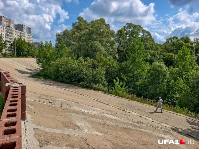 Бетон и зелень&nbsp;— прекрасное сочетание | Источник: Булат Салихов / UFA1.RU