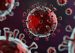 Какие бывают штаммы коронавируса: чем они отличаются и как лечатся