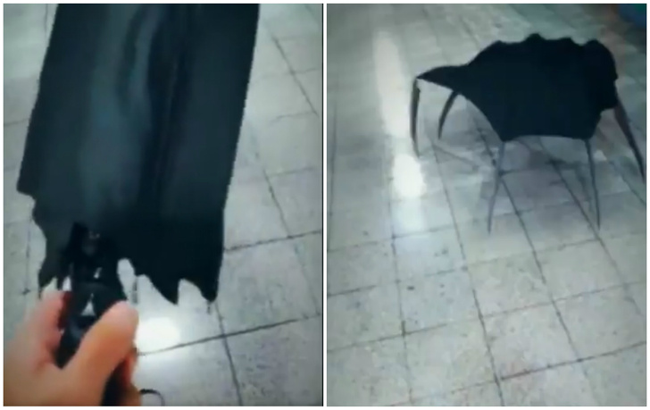 Аниматор из Новосибирска создал вирусное видео про превращение обычного зонта в зонт-монстр