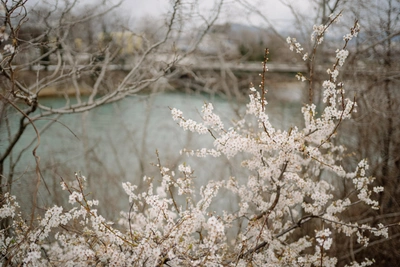 В Краснодаре на выходных до +19 °C, но затем похолодает