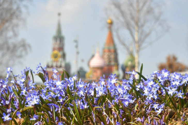 Москвичам можно убирать пуховики в шкаф? 