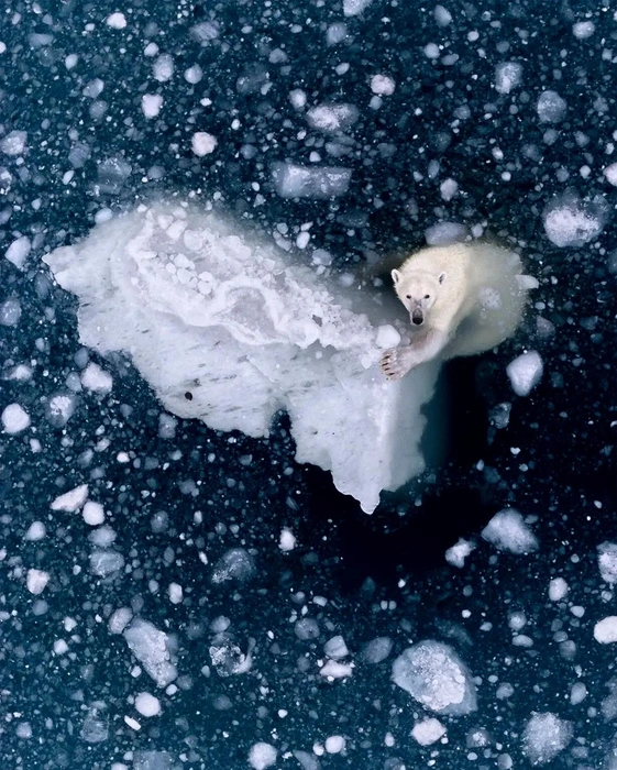 Снимок вошел в 101 лучший кадр премии | Источник: Rhiannon Lawler / International Aerial Photographer of the Year 2026