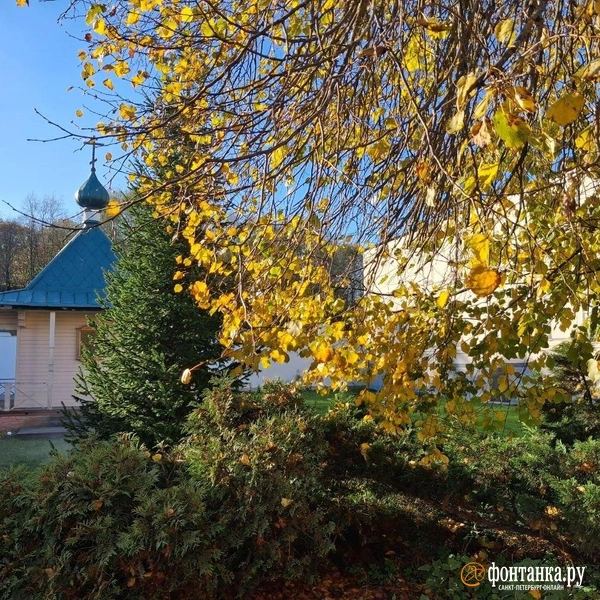 Дворик Никольского монастыря | Источник: Анна Мотовилова/ FONTANKA.RU