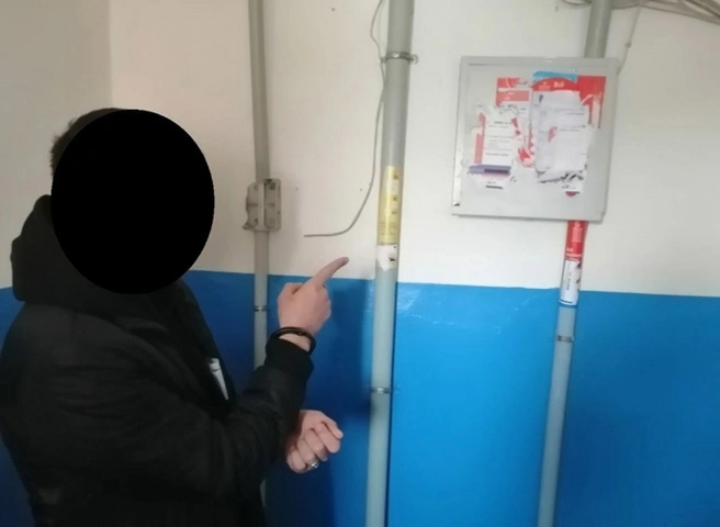 В Рязани полицейские изъяли у доставщика пиццы мефедрон, гашиш и марихуану | ya62.ru