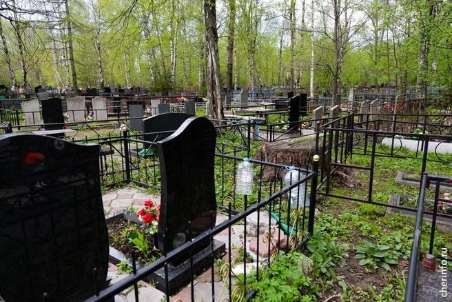 Источник: st.cherinfo.ru