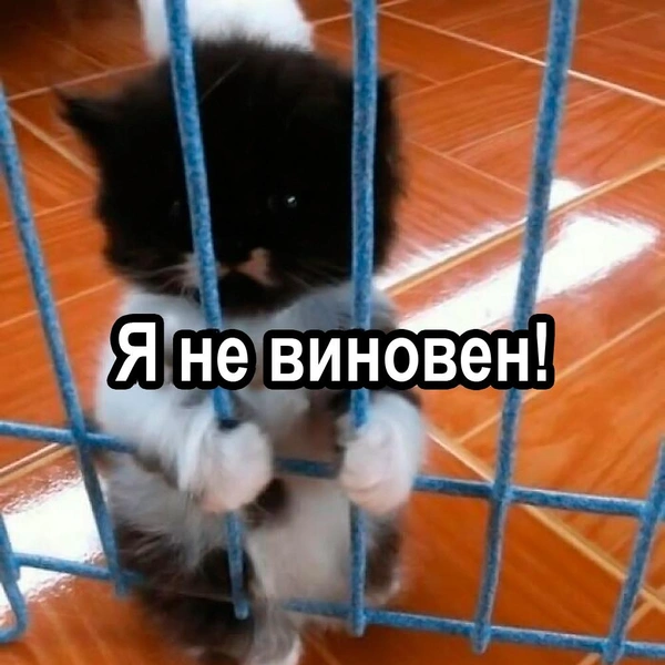 Источник: соцсети