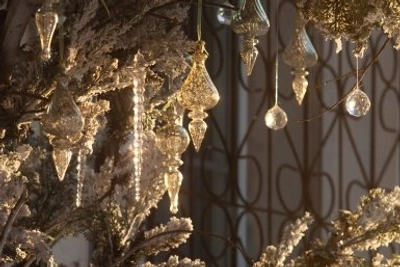 Россельхознадзор ограничил ввоз сосен из семи районов Забайкалья