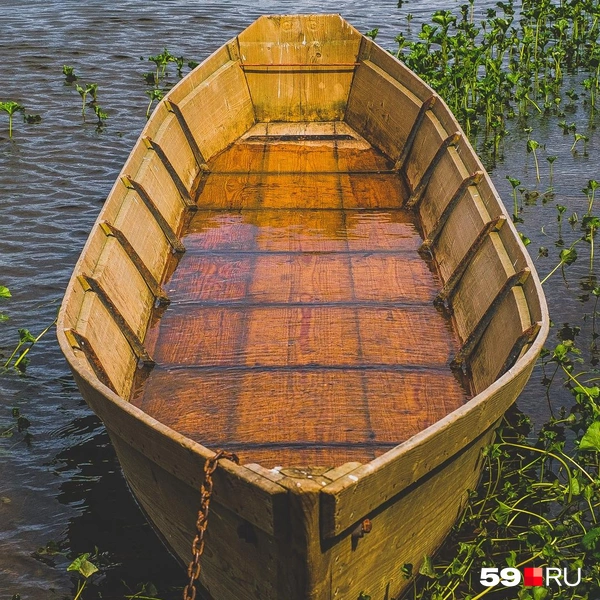 Источник: Тимофей Калмаков / 59.RU