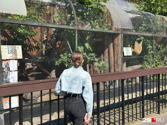 Источник: Валерия Богатырева / 29.RU