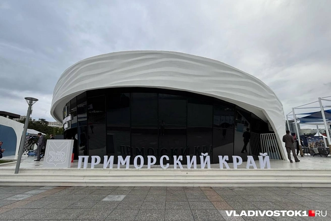 Источник: Елена Буйвол / VLADIVOSTOK1.RU
