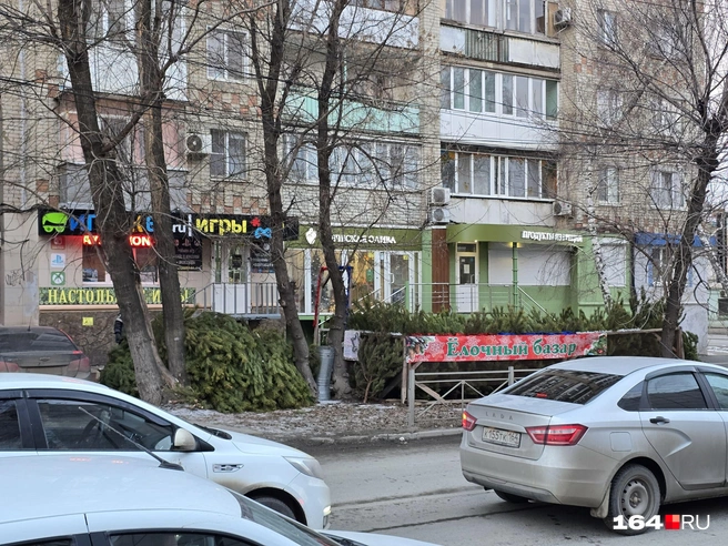 На этом месте самые дешевые елки | Источник: Семен Коротов-Майбах / 164.RU