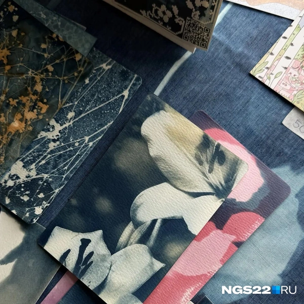 Источник: Полина Шевчукова / NGS22.RU
