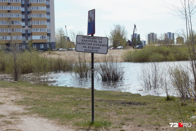 У пляжа вы такой таблички не увидите. Ее поставили на старом, где купаться нельзя | Источник: Павел Красоткин / 72.RU