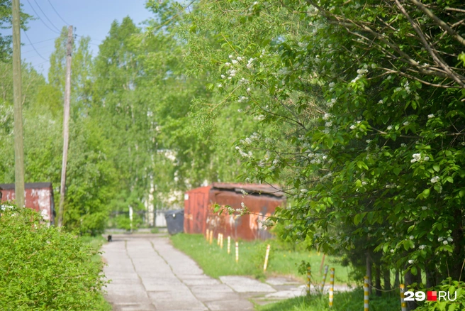 Источник: Иван Митюшёв