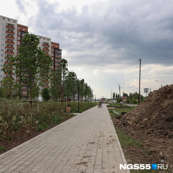 Дорога в никуда | Источник: Евгений Софийчук / NGS55.RU 