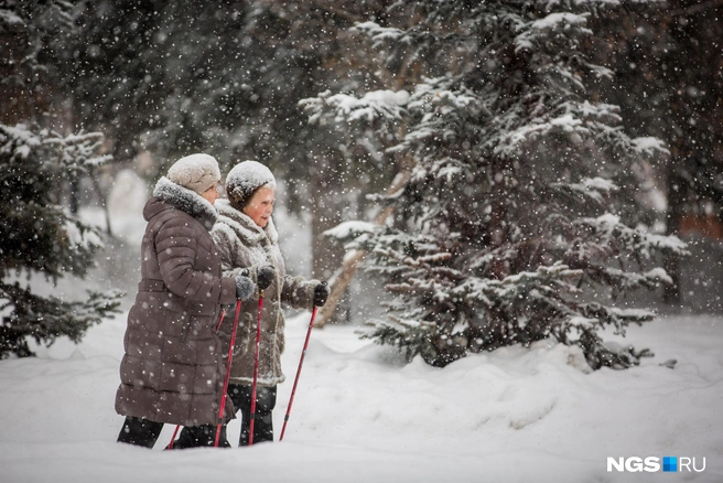 На севере и юге области установится разная погода | Источник: Александр Ощепков / NGS.RU