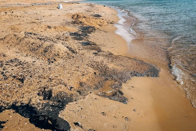 Боня записала обращение к Путину о мазуте на анапском побережье