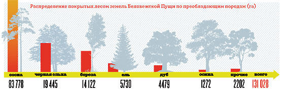 Остались ли в Европе первобытные леса?