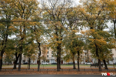 Тепло и солнце: прогноз для Ярославской области