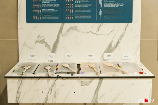 Источник: Дарья Паращенко / 93.RU